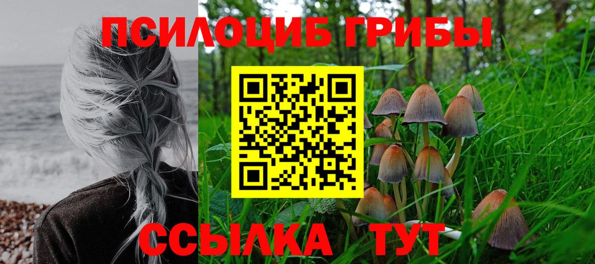 где можно купить наркотик  Вход с VPN  Псилоцибиновые грибы Magic Shrooms  Елабуга  Псилоцибиновые грибы Psilocybe 